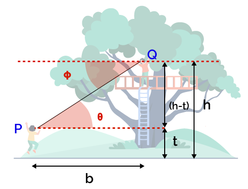 The figure shows a person Q who is on the tree and another person P who is on the ground and looking at the person Q.
